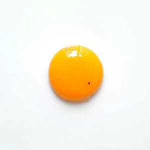 Jaune d'oeuf