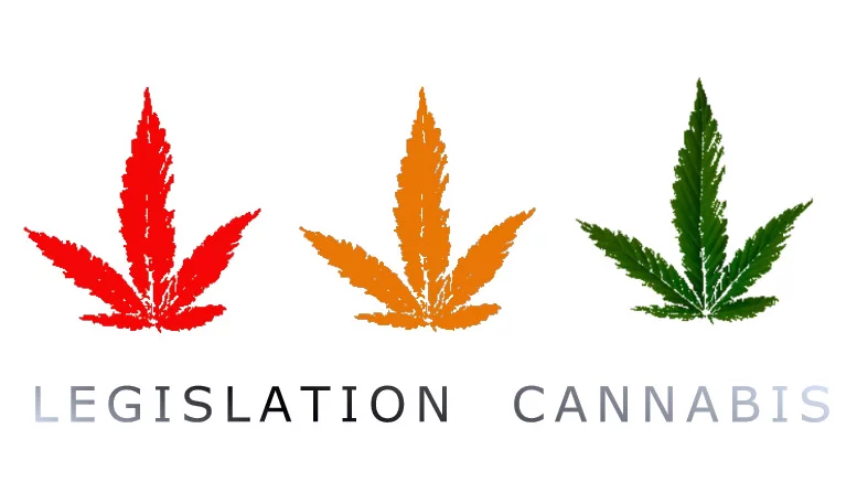 Législation Cannabis Organiquement Votre